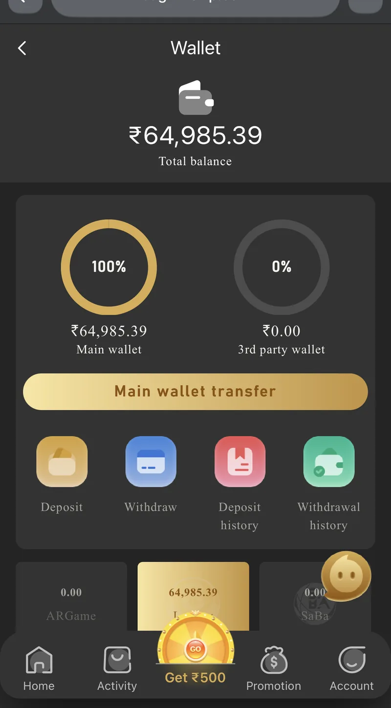 BDG Win wallet summary showing main wallet and third-party wallet balances